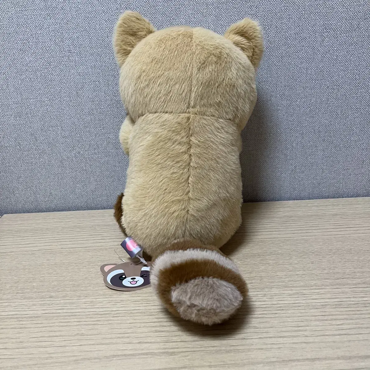 까꿍 너구리M 25cm 인형