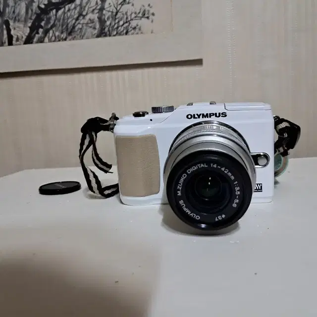 OLYMPUS E-PL2 CAMERA