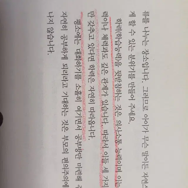 소가죽레드가방