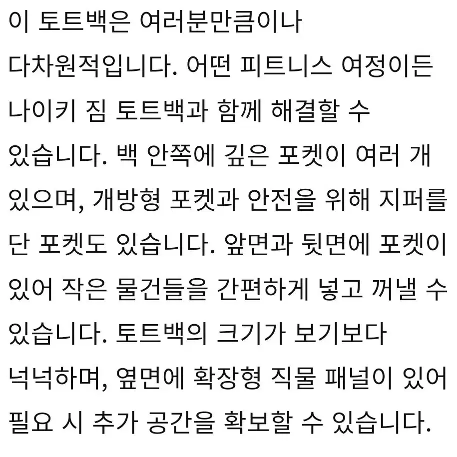 나이키 남여공용 기능성 토드백