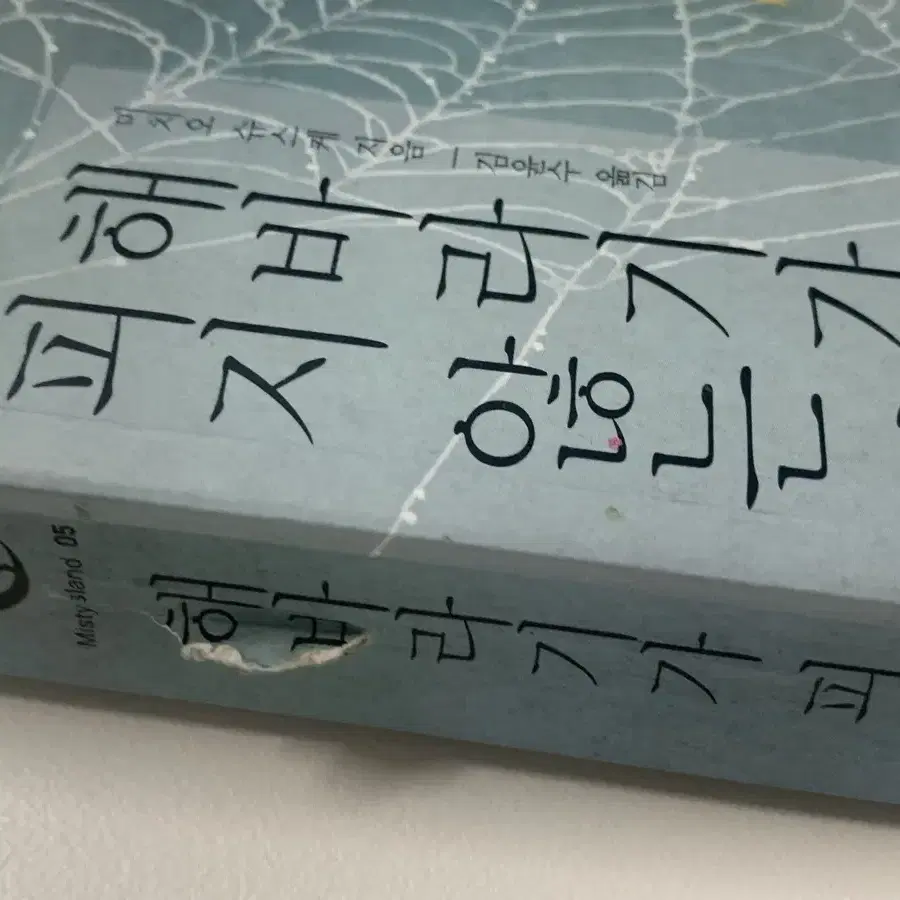 해바라기가 피지 않는 여름