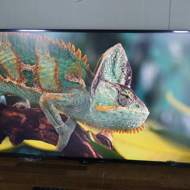 43인치 엘지 모니터 LG 43UD79T 4K UHD + 고중량 모니터암