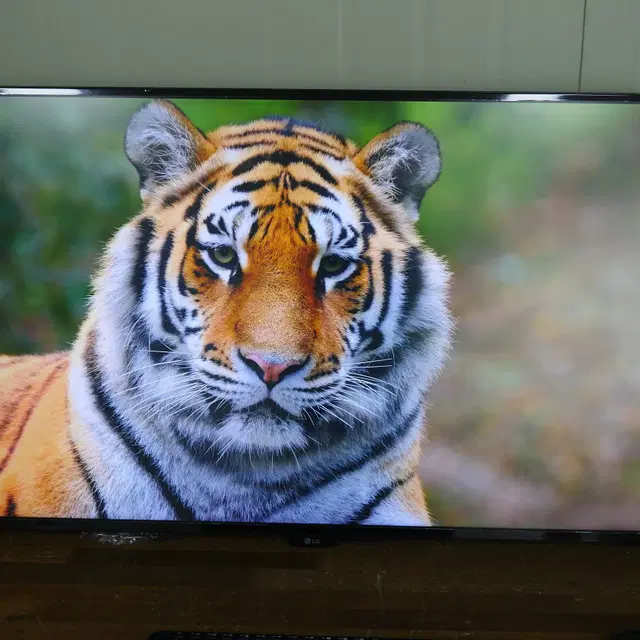 43인치 엘지 모니터 LG 43UD79T 4K UHD + 고중량 모니터암