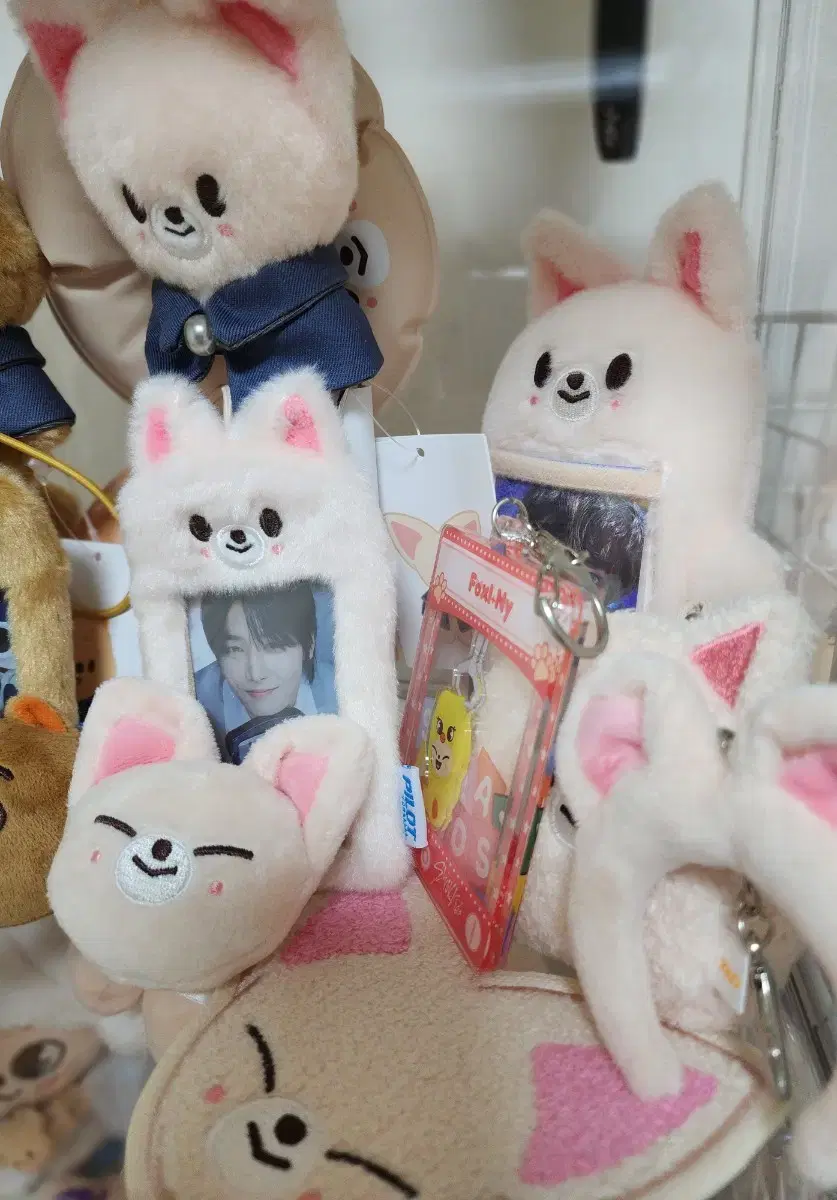 Skz i.n skzoo Foxini Goods bulk WTS