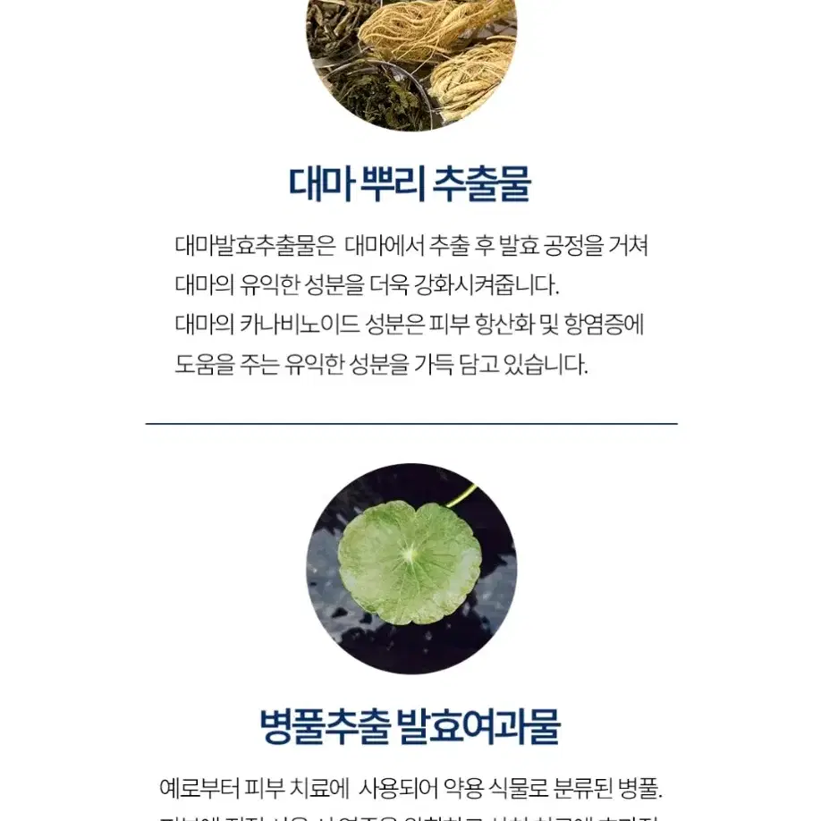 시카 토너