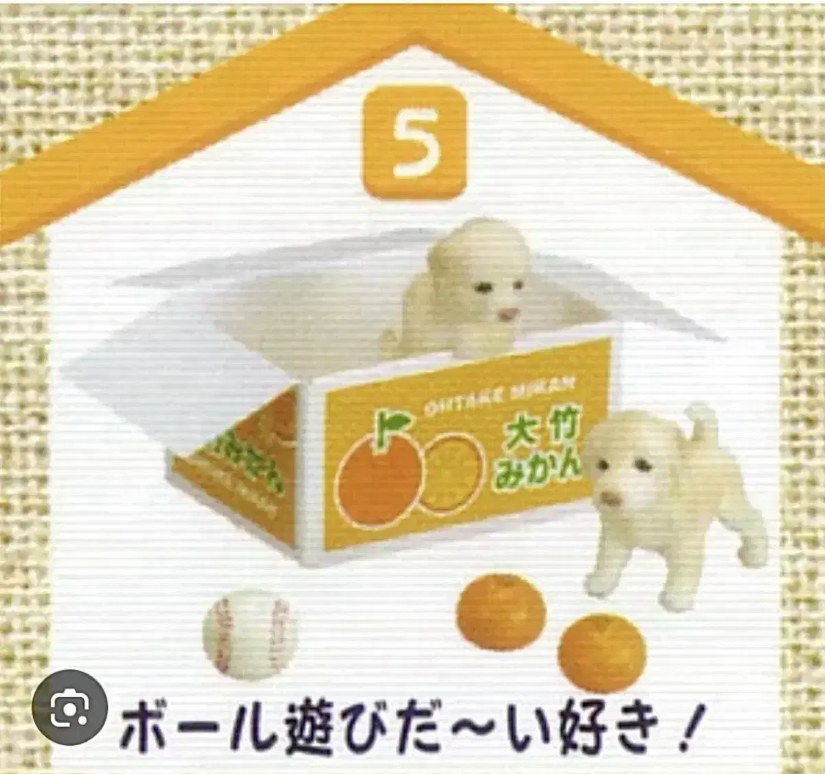 Rement Wangchan Tangerine & Puppy