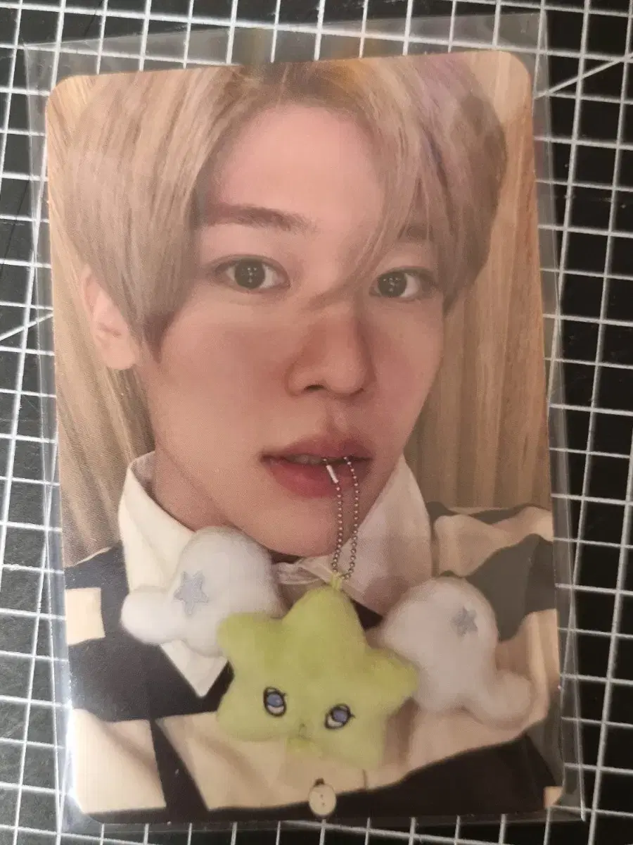 (Quick!) NCT WISH sion Wichu photocard WTS