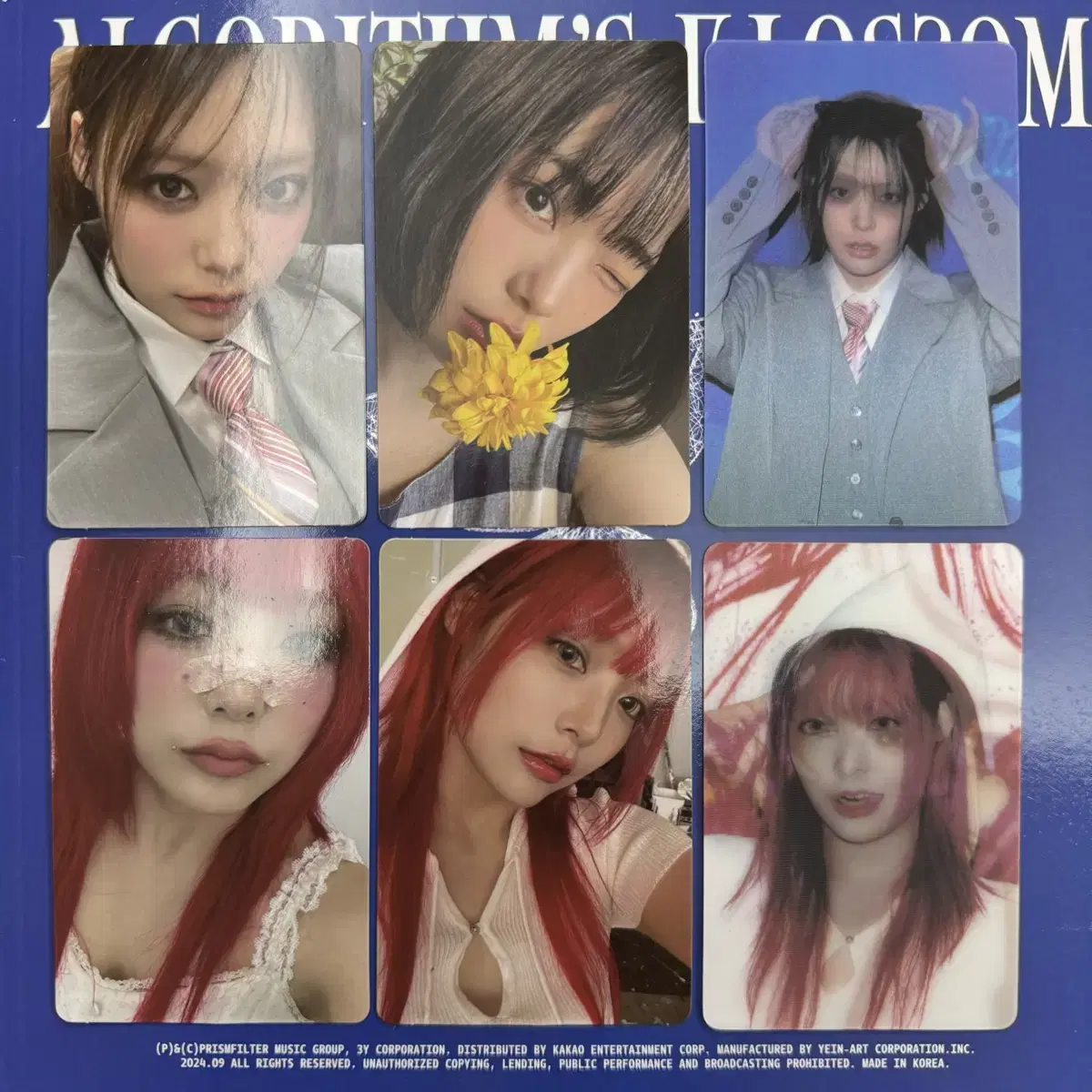 QWER algorithm blossom lee siyeon siyeon albumspokacard photocard ID proof photo