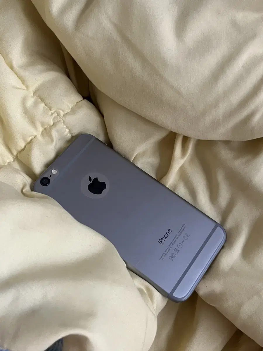 iPhone 6 Silent Space Gray