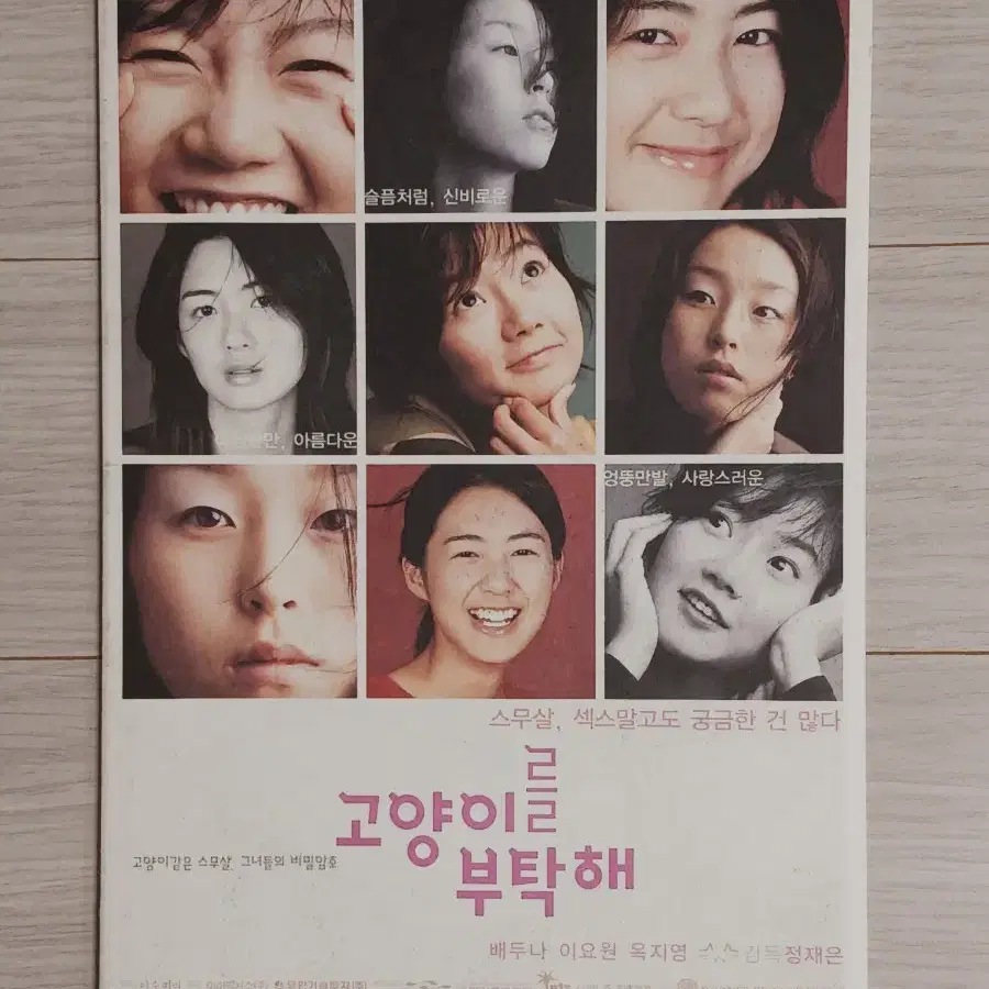 이요원 배두나 옥지영 고양이를부탁해(2001년)(4단포스터)전단지