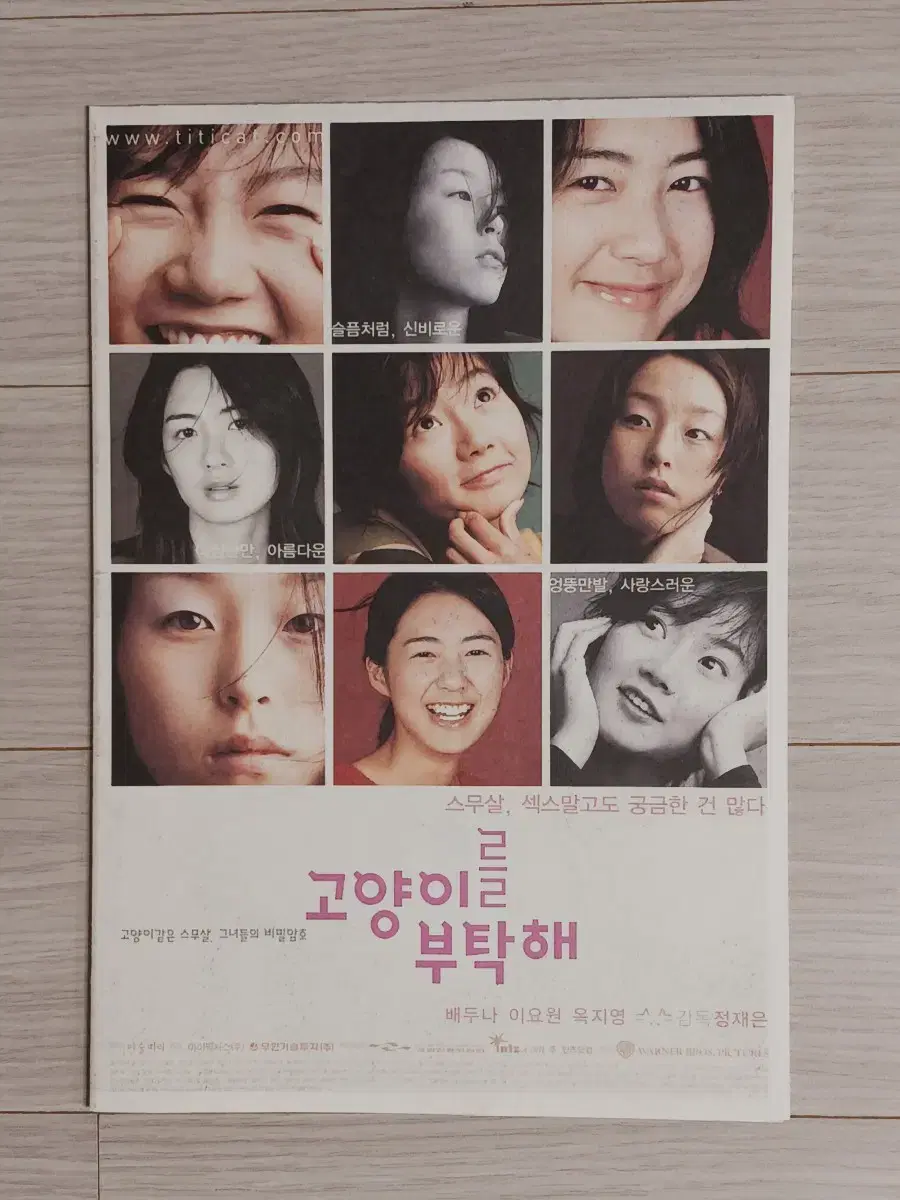 이요원 배두나 옥지영 고양이를부탁해(2001년)(4단포스터)전단지