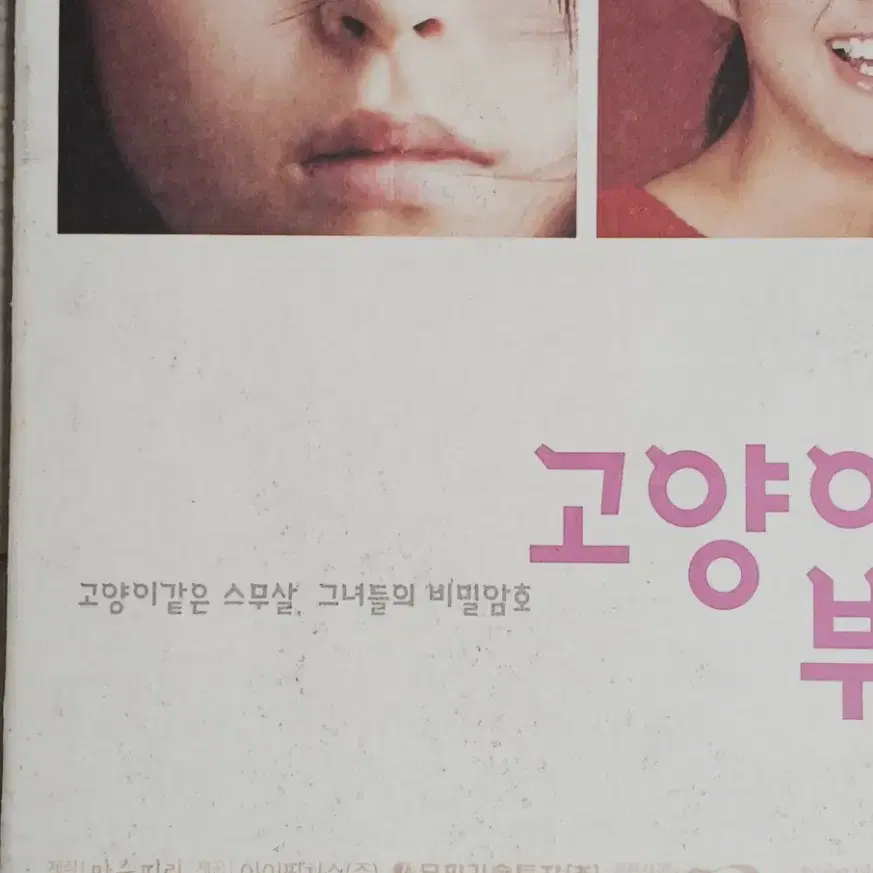 이요원 배두나 옥지영 고양이를부탁해(2001년)(4단포스터)전단지