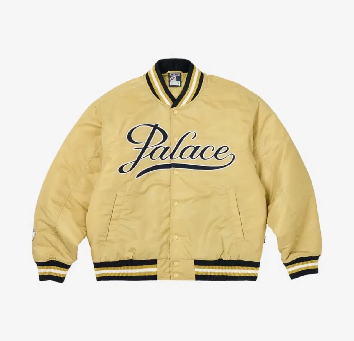 [M] Pallas Pooper Varsity Jacket