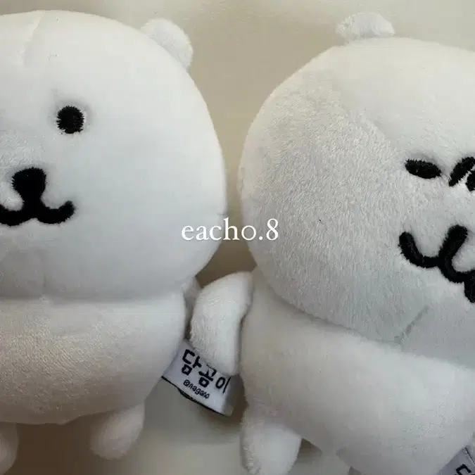 농담곰 급처 [사진4장]