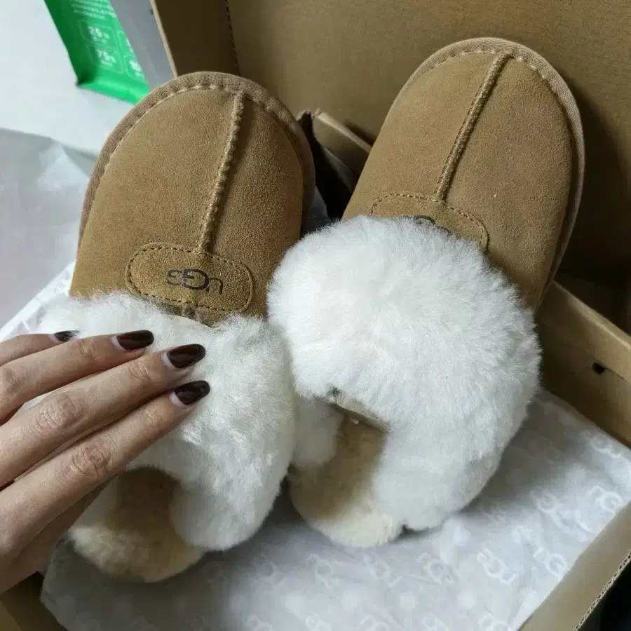 [UGG] 어그 디스케트 슬리퍼 체스트넛