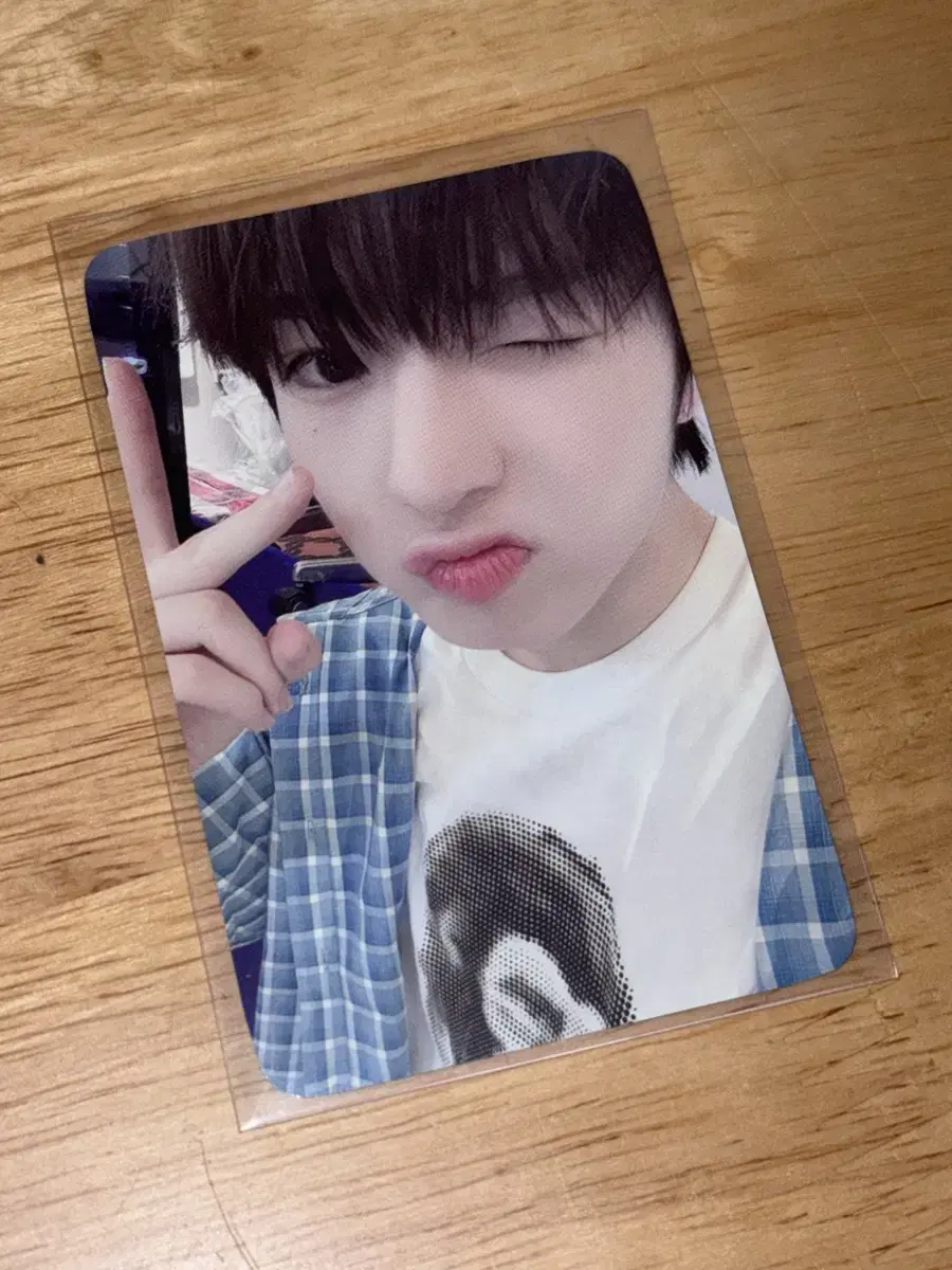 Wish Sakuya Steady Dimamu Young Tong Pansa Photocard