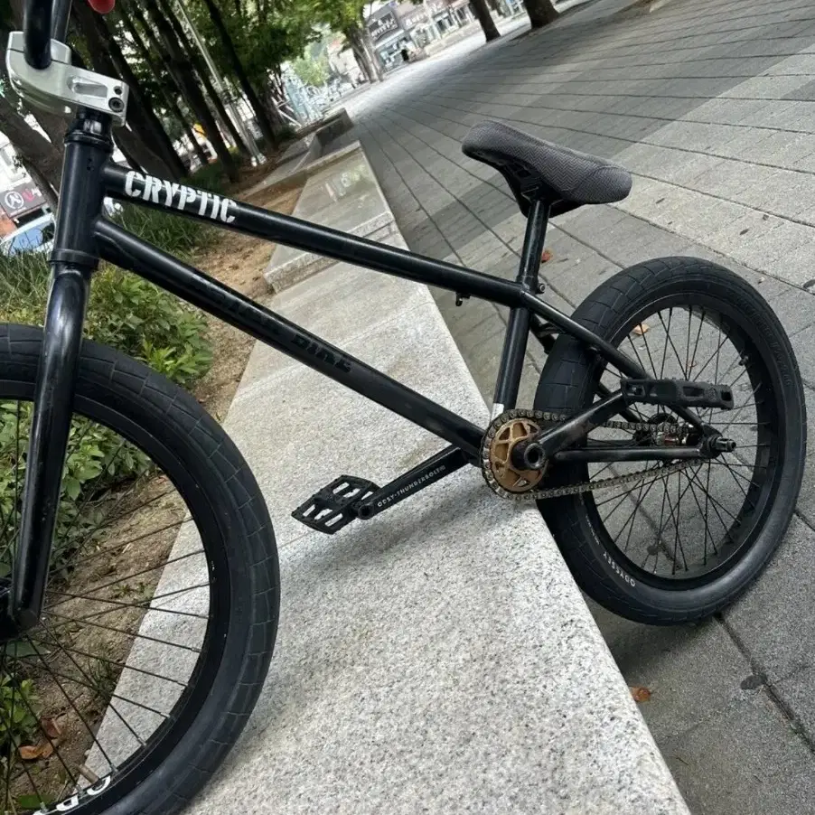 크립틱 웨폰 커스텀 bmx(비엠) 판매 및 대차 급처!!