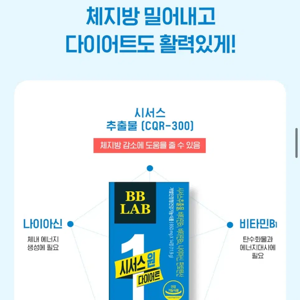 비비랩 정품 시서스원 체지방 감소 기능성 원료 안전한 다이어트 보조제