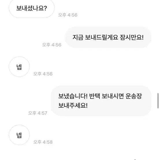 럭키자두님 박제 3