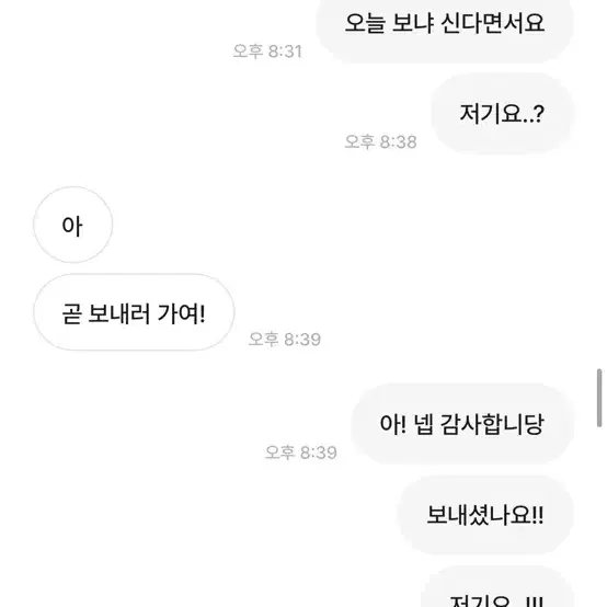 럭키자두님 박제 3