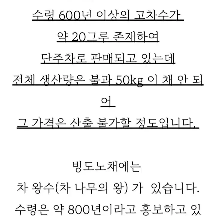 빙도지계 노채 보이차