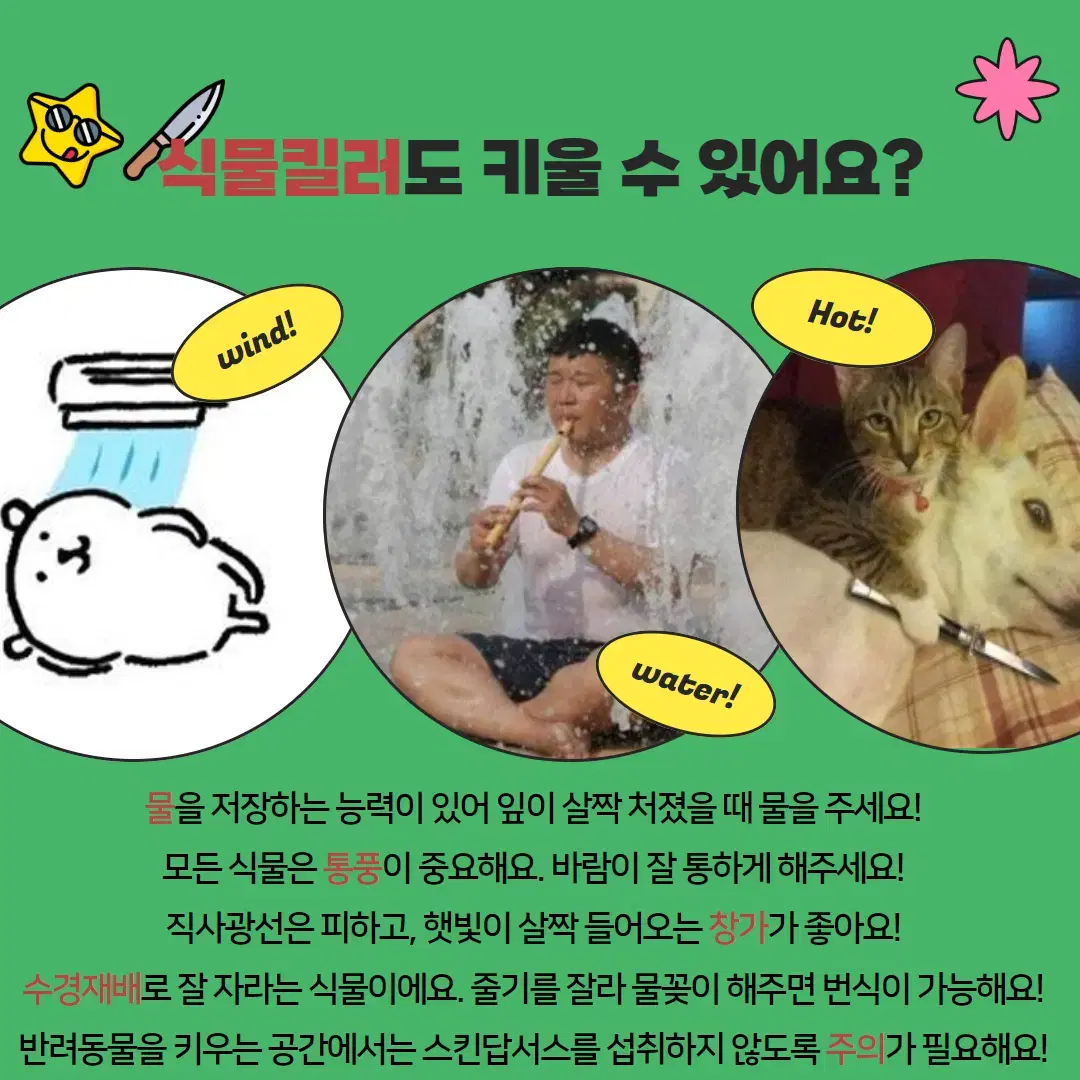 조경 식물 관리 전문업체