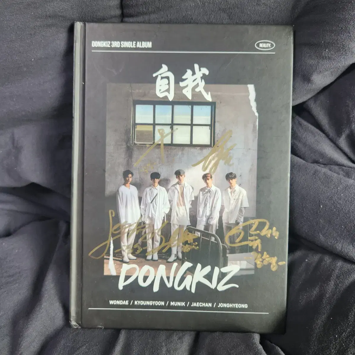 DKZ Donkeys White Night beautiful signature album