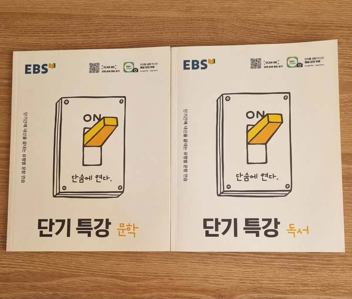 EBS 단기특강 문학&독서