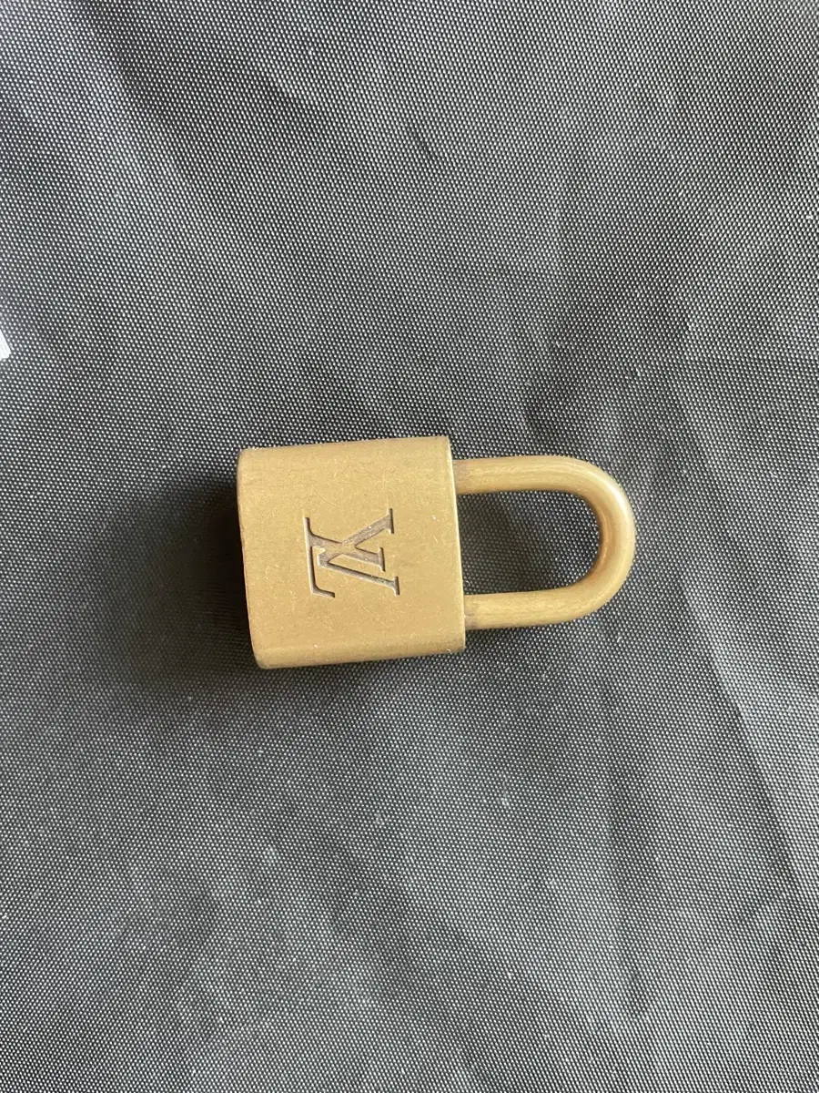 Louis Vuitton locks