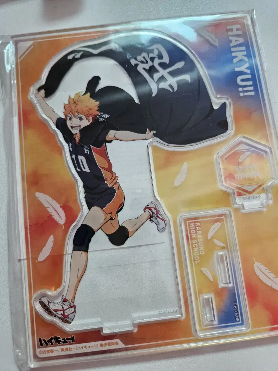 Haikyuu banner acrylic hinata