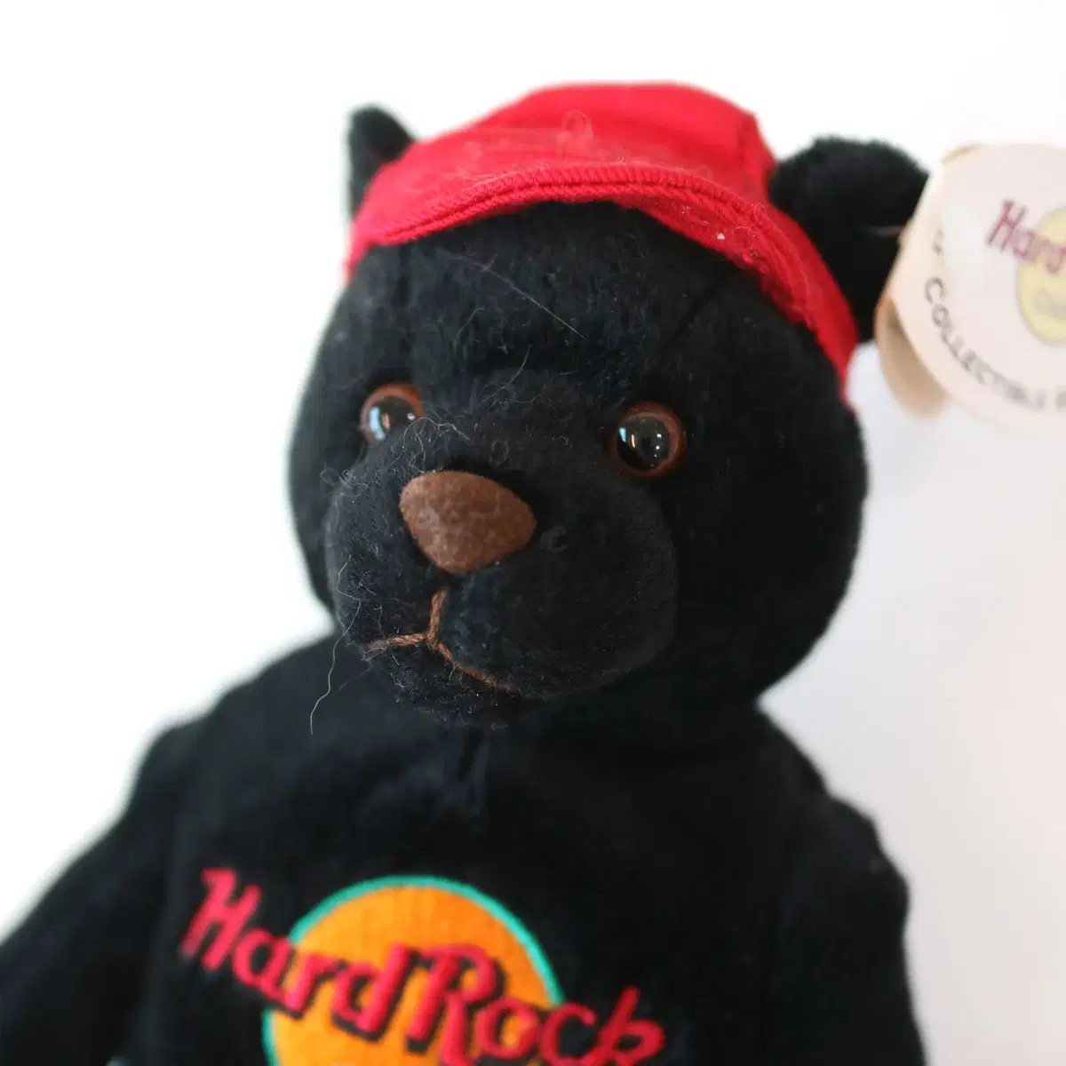 Hard Rock cafe bear 하드락카페 베어