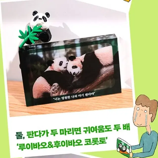 루이바오.후이바오 미니 코롯토 1개 미개봉새것 교환환불불가