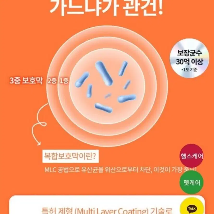 땅콩유산균