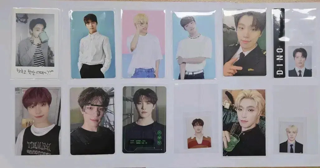 Seventeen Memberships dino 1-8 Terms photocard and WTS