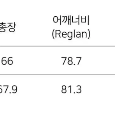 노이어 니트