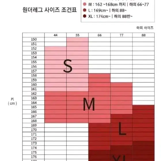 원더레그 스타킹 누드스킨+그레이M 5장