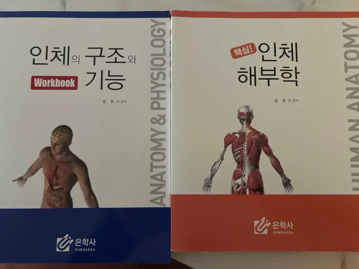 인체해부학 +우ㅓ크북포함