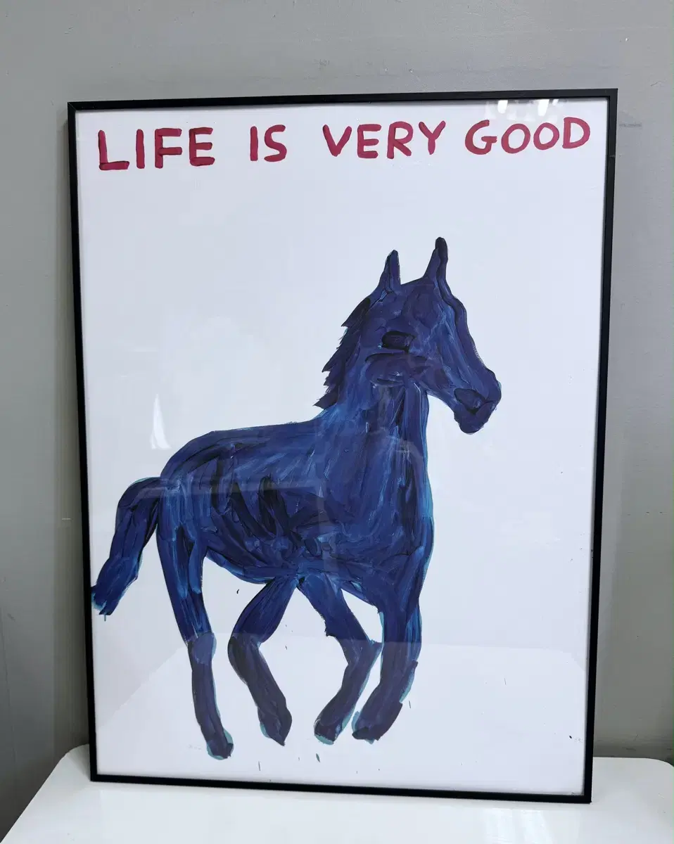 데이비드 슈리글리 Life is Very Good 그림 액자 인테리어소품