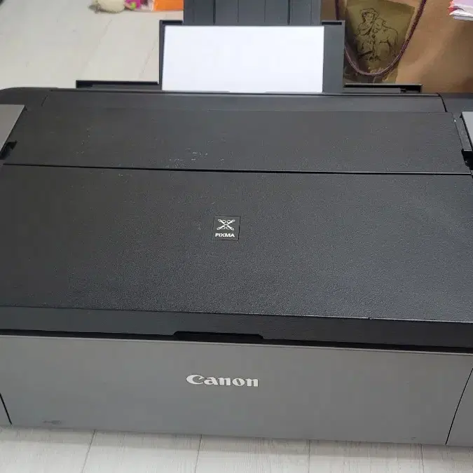 canon pixma pro-100 과 주변기기 pro100