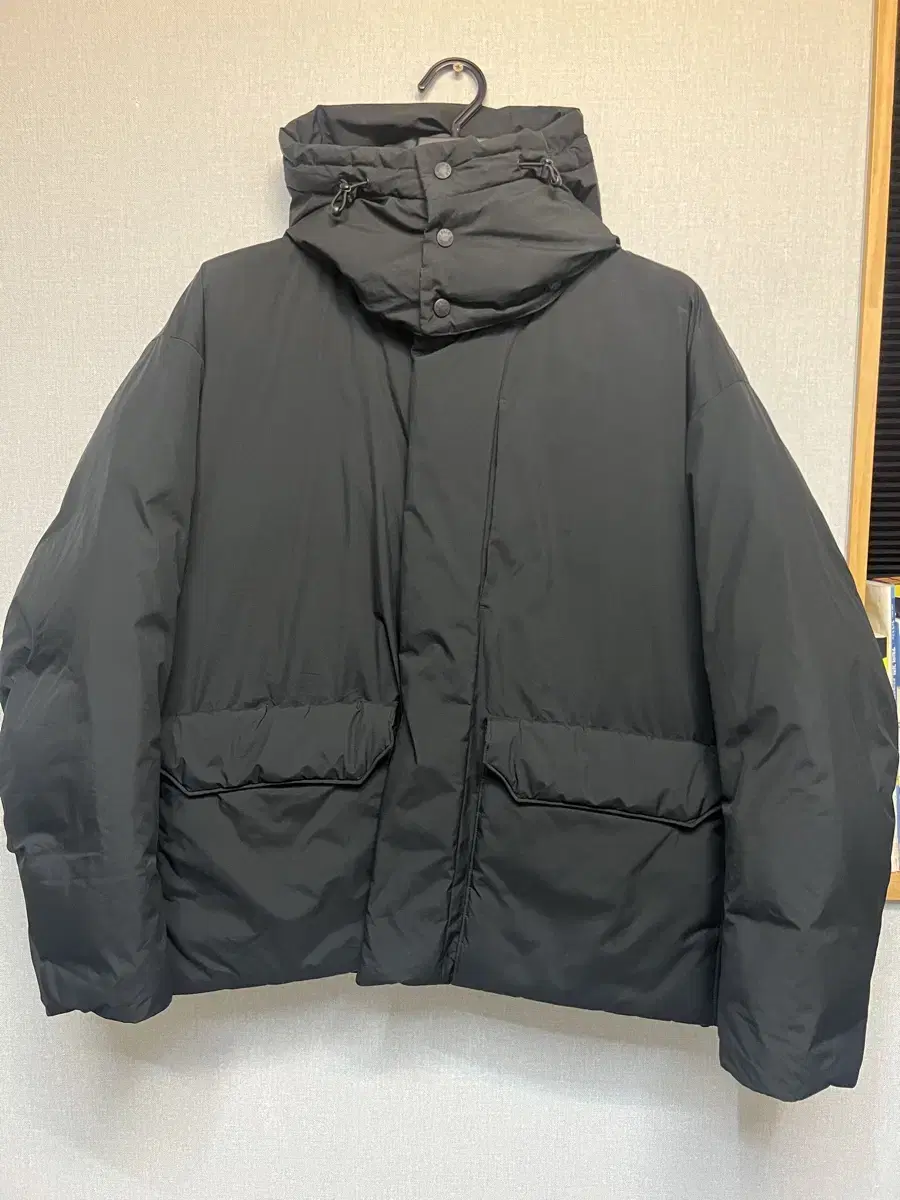 The North Face Perflabel Gore-Tex Infinity Parka XL