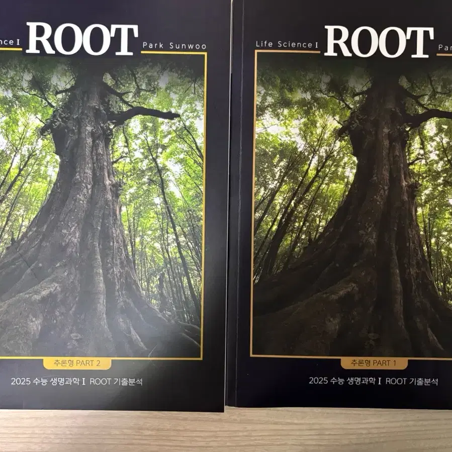 박선우T ROOT 기출분석