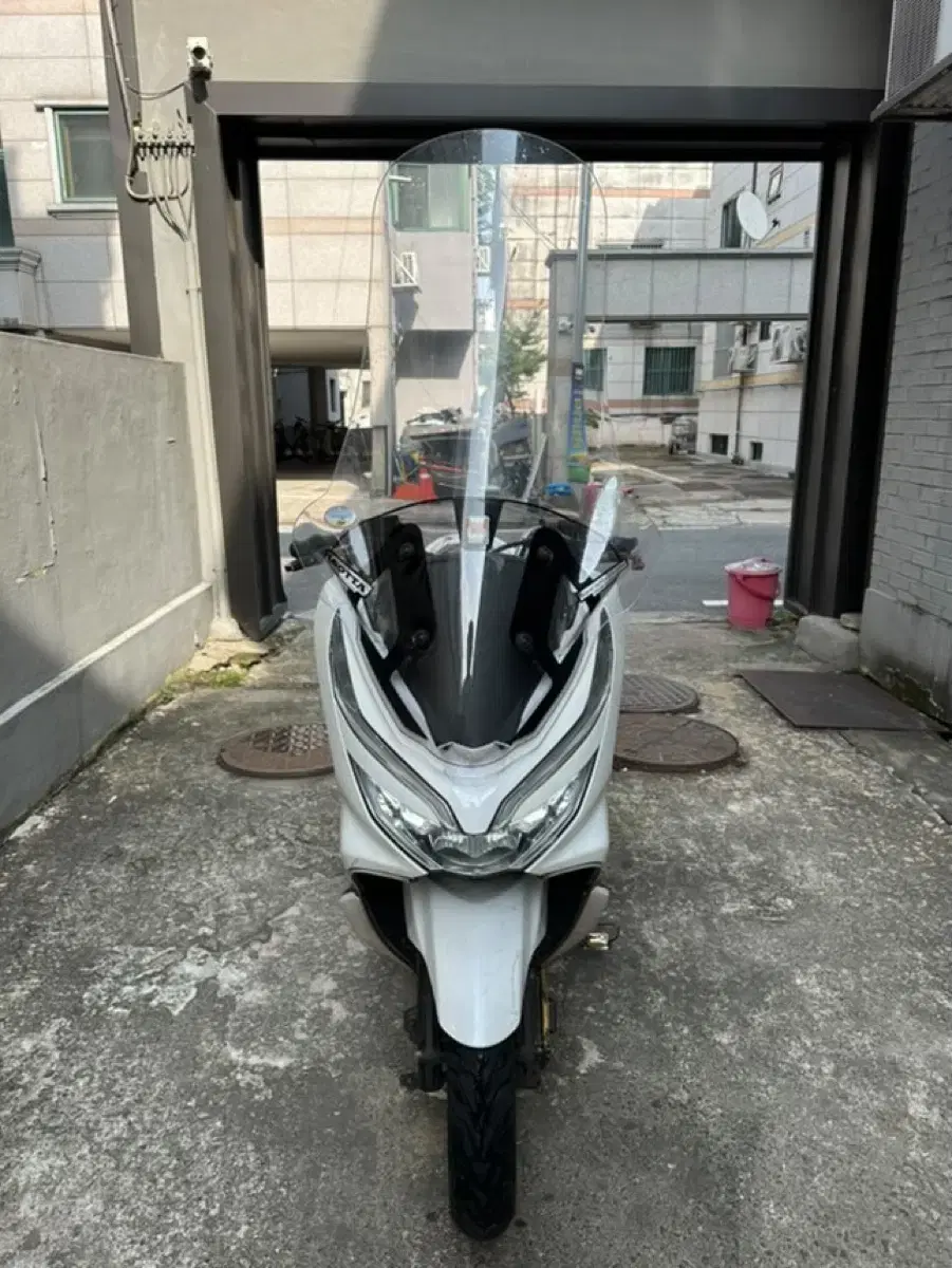 혼다 Pcx 125cc 19년식