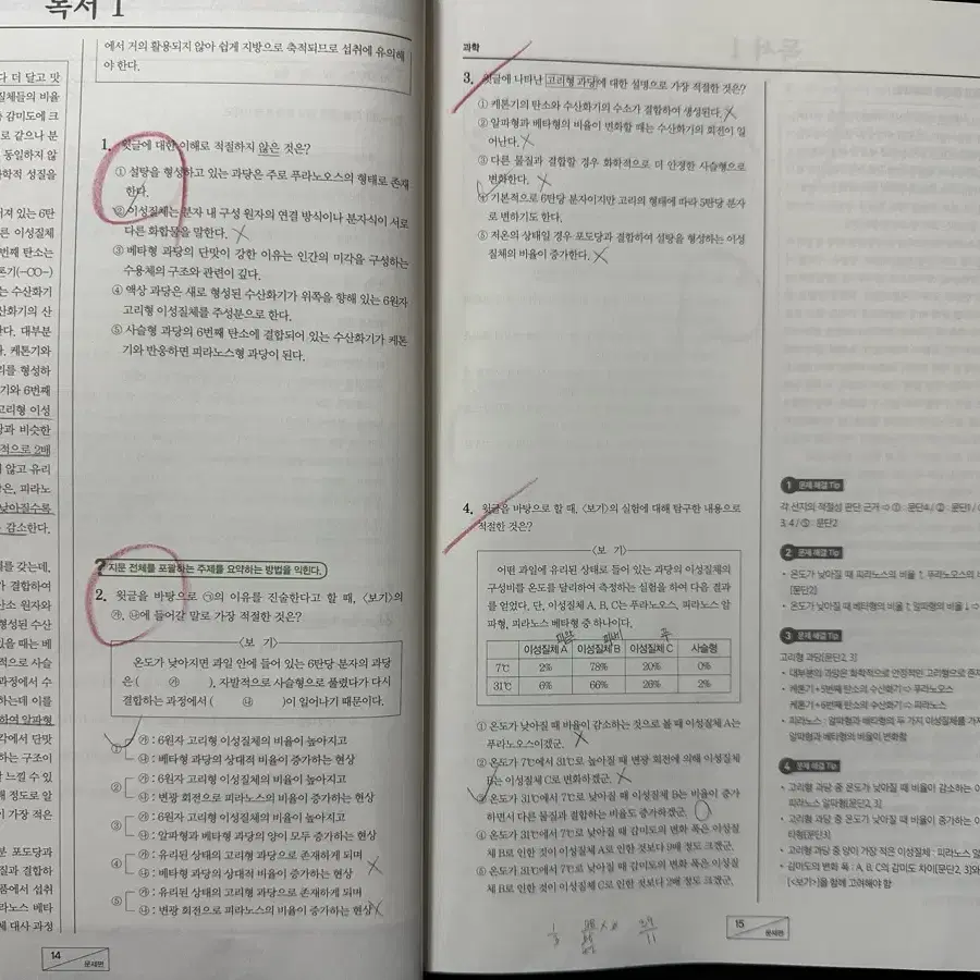 2025 이감 간쓸개 에센셜1,3+시즌2 일괄