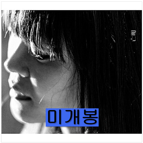 이아립 (Earip) - 망명 (미개봉, CD)