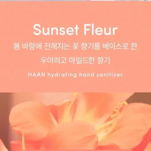 han 핸드새니타이져 손소독 리필100ml 손소독공병45ml