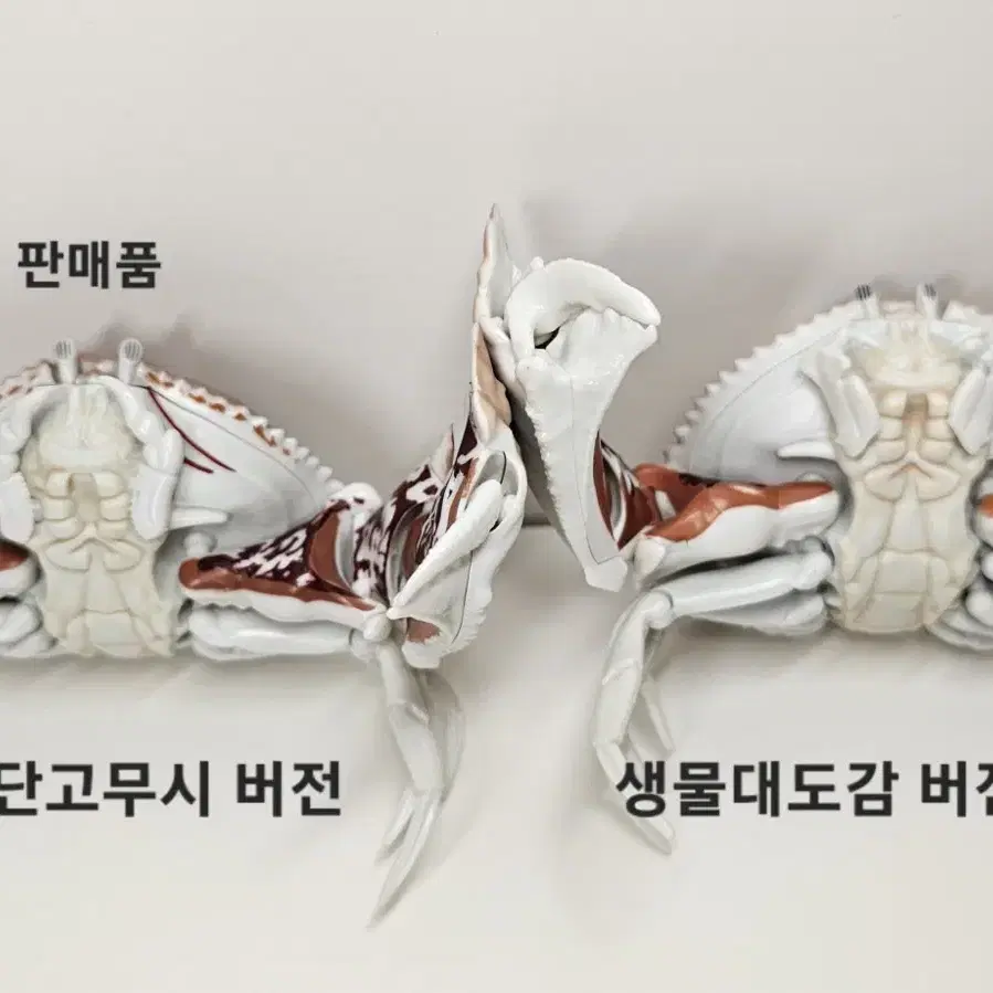 반다이 생물대도감미니 도둑게 단고무시 만두게