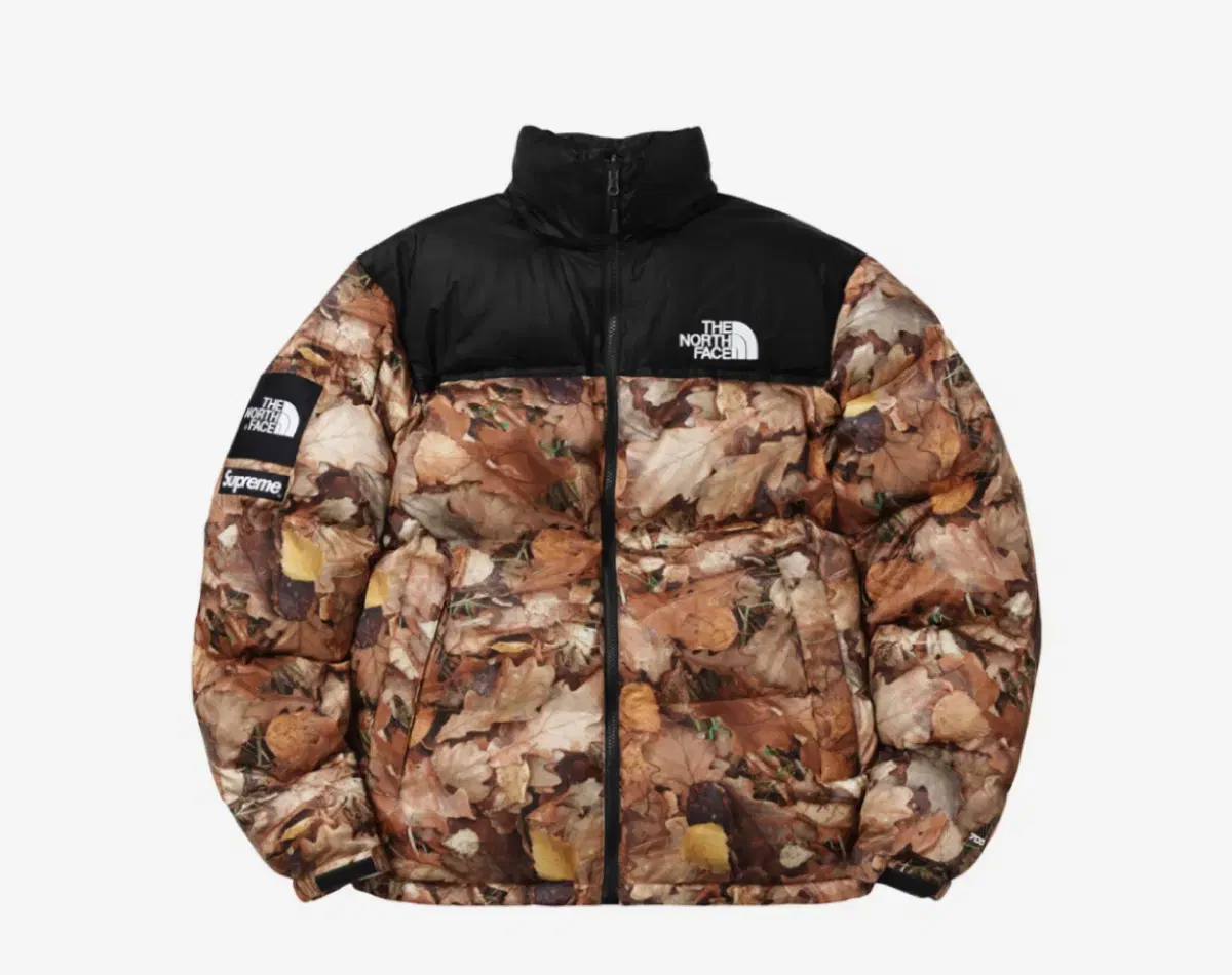 FW16 Supreme x The North Face Nopsey Fallen Leaves