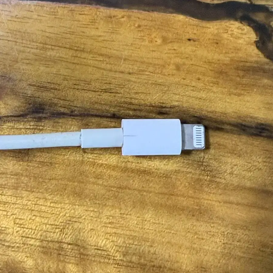 애플 USB-C-Lightning 케이블(2m)