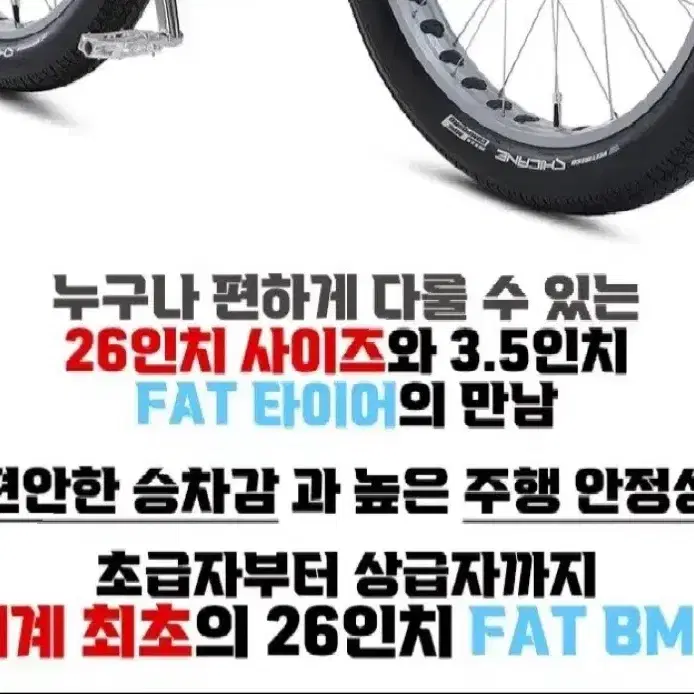 윌리바이크 sebike 팻쿼드