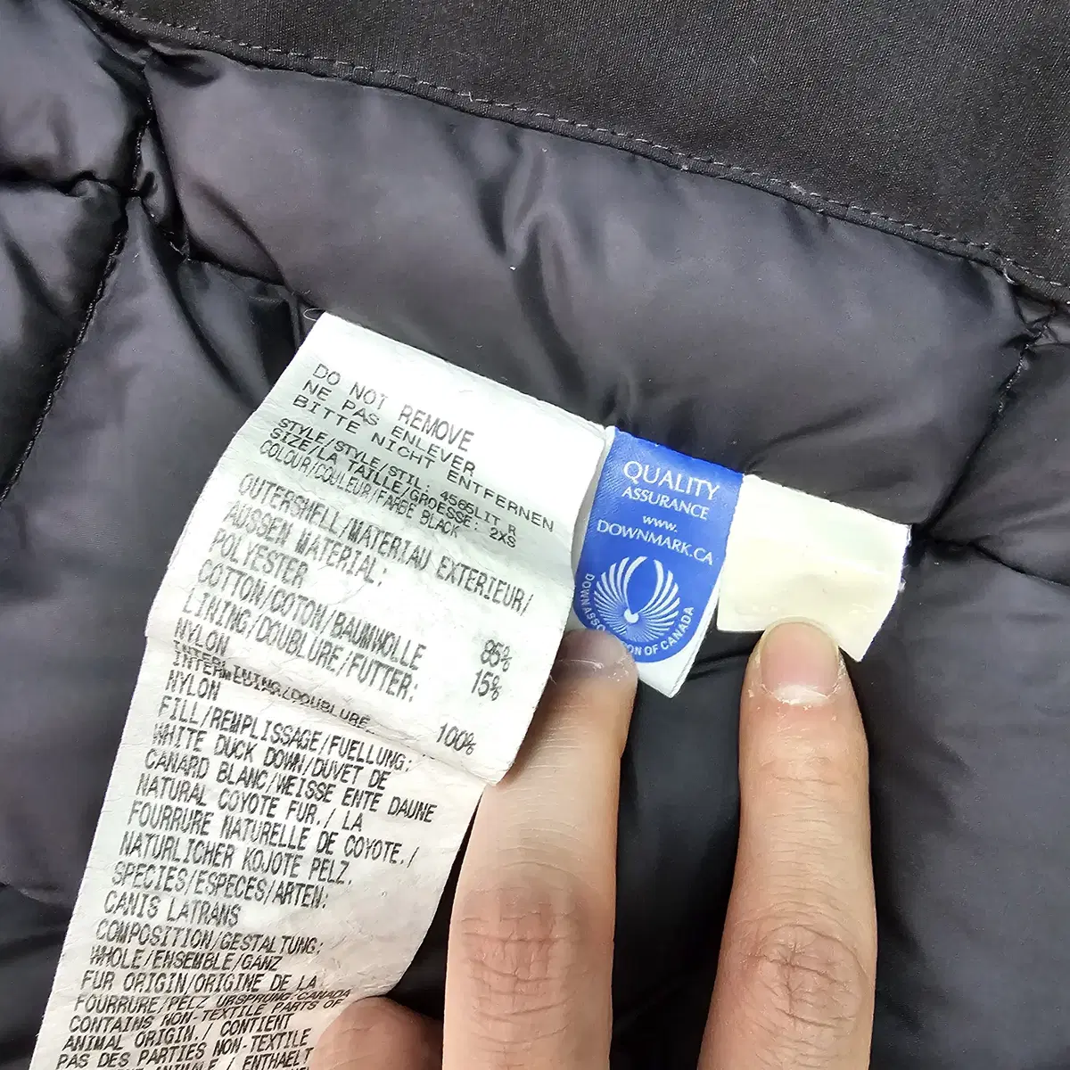 [2XS] CANADA GOOSE 캐나다구스 익스페디션 구스다운